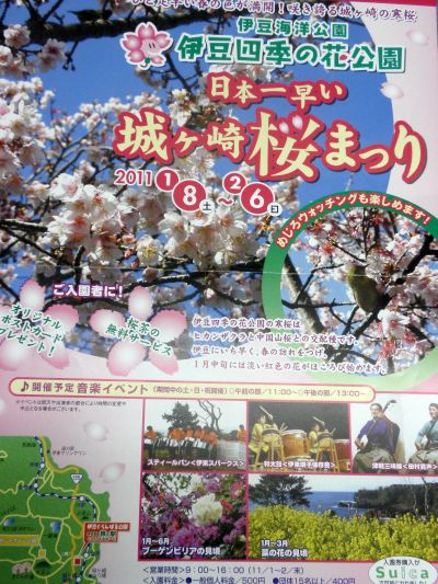 城が崎の桜まつり.jpg