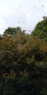 窓に当たる雨.JPG